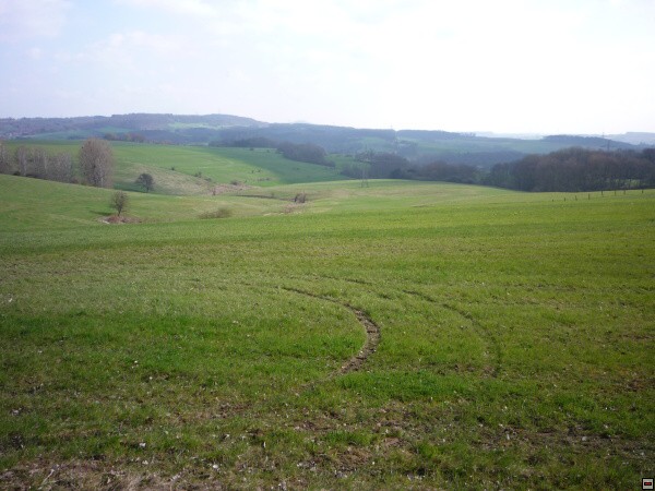img00004.jpg