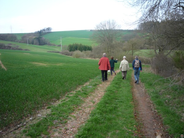 img00006.jpg