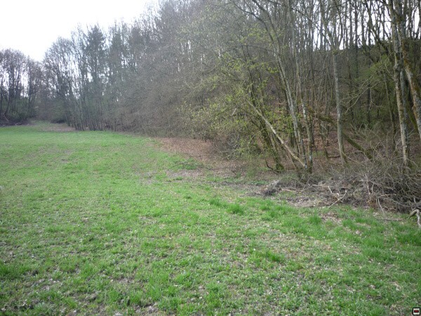 img00007.jpg