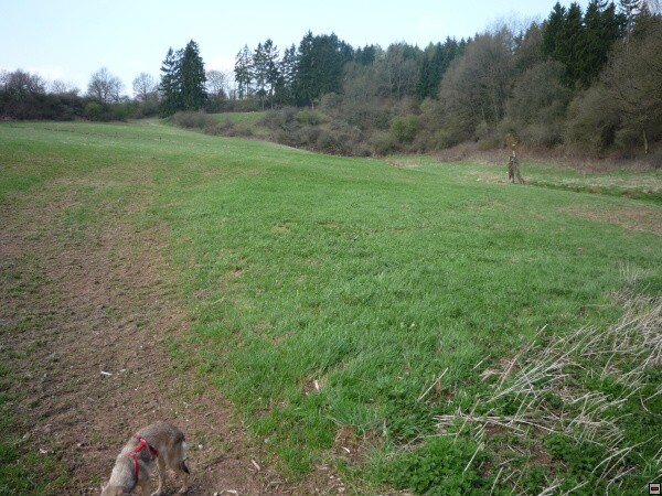 img00012.jpg