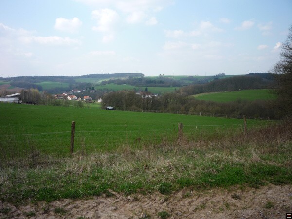 img00021.jpg